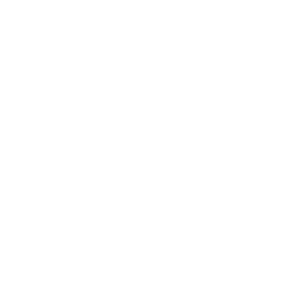 SABF logo WHITE